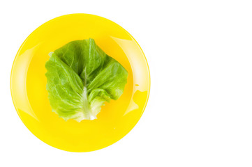Lettuce on yellow plate isolated on white background.Copy space