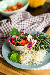 Grow sprouts of micro greens for a healthy salad. Eat right, stick to the concept of a young and modern kitchen. Ecofrendli and superfood. Raw food