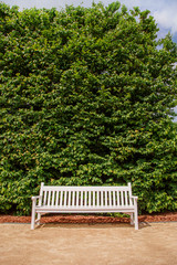Lonely white wooden park bench, green leafy background.