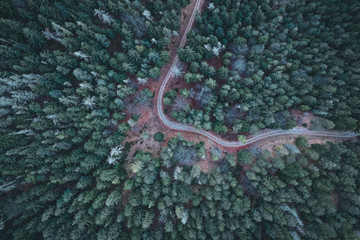 Winding road in the Forest Aerial View