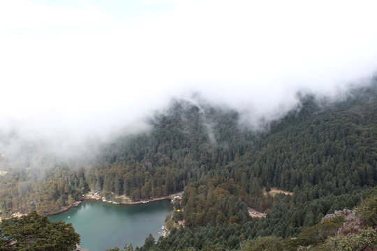 el cedral