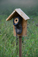 A DIY bird house, made from an old shoe and some wood.