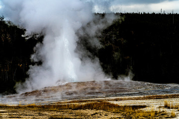 OLD FAITHFUL GEYSER, YELLOWSTONE
