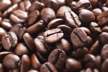 Roasted Coffee Bean, Raw Coffee Bean, Backgrounds, Textured, Textured Effect