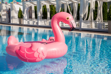 Pink inflatable flamingos float in the pool