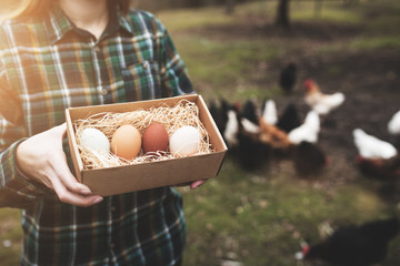 Woman`s hands holding a chicken eggs against of small garden with chickens. Diversity of chicken eggs. - 320673246