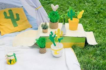 Summer concept. Cactus party, picnic, day