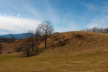 Moses Cone Memorial Park Blue Ridge Parkway North Carolina 