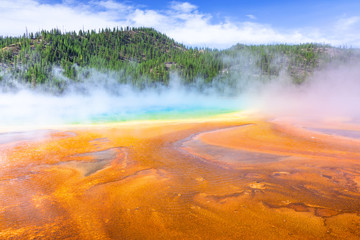 Mist rising from the Grand Prismatic Spring Yellowstone