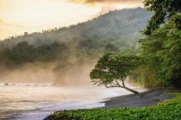 Black sand volcanic beach in Tangkoko National Park. Early foggy morning on the coast of Tangkoko...