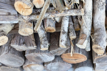  Stack of wood logs in daylight