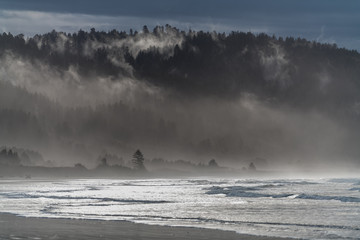 Waves and fog at the beach