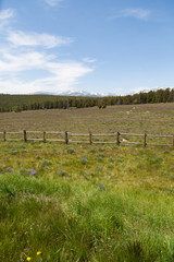 Fototapeta na wymiar Wyoming Landscape with Distant Mountains