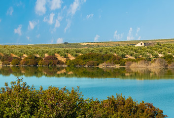 Fototapeta na wymiar Lago con reflejo en el agua de arbustos, cielo con nubes y azulado o