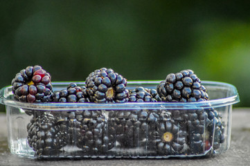 Closeup of fresh ,healthy and organic blackberry in a tray