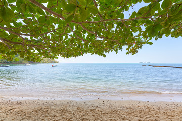 summer time at koh chang beach with seascape and green leaf tree