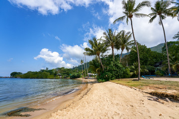 Obraz premium koh chang beach in clearly blue sky and coconuts for summer time