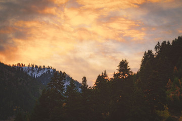 Burning sunrise that took place on a silhouette of a forest with fir trees on Agrafa Mountains