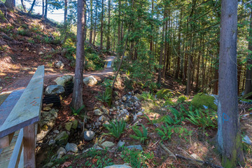 Fragment of Park trail in Vancouver, Canada.