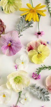 Yuri Ab Photos Images Assets Adobe Stock