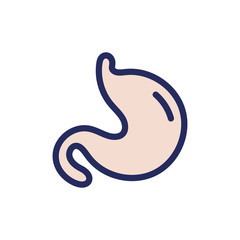 stomach human organ isolated icon