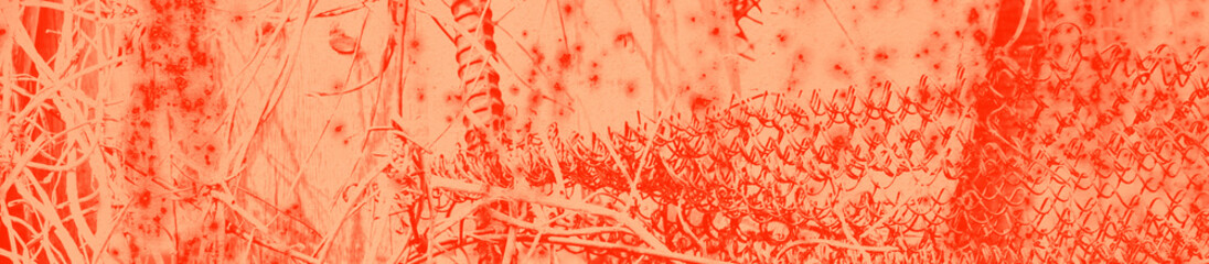 abstract live coral color background for design