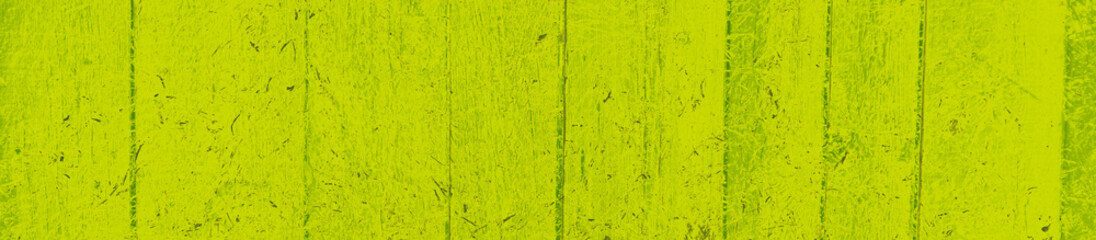 abstract lime and green colors background for design