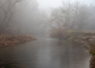 Obraz na płótnie Canvas Putah Creek in Davis, California, USA, on a foggy winters day