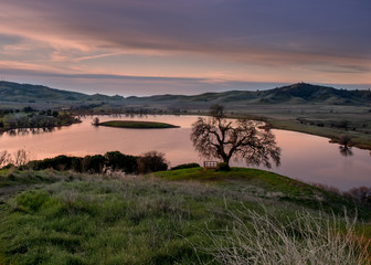 Lagoon Valley Park in the sunrise featuring a lone oak tree and a lake, Vacaville, CA, USA