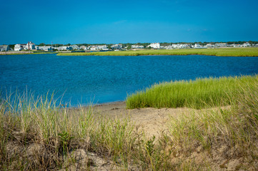 Estuary and grasses in coastal area of Cape Cod, Massachusetts