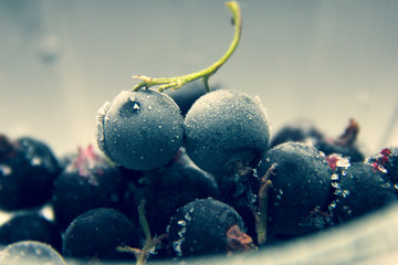 Blackcurrant berries in a glass vase close up. Macro photography.