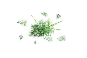 top view of fresh organic dill from the garden isolated on a white background 