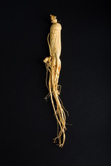 Ginseng has medicinal properties against a white background and can be dipped in water and sliced, also known as American ginseng-Panax quinquefolius