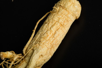 Ginseng has medicinal properties against a white background and can be dipped in water and sliced, also known as American ginseng-Panax quinquefolius