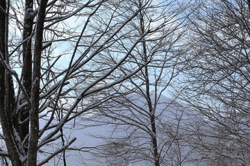 Fototapeta na wymiar 冬の青空と流れる雲　1月　ノーマルスピード
