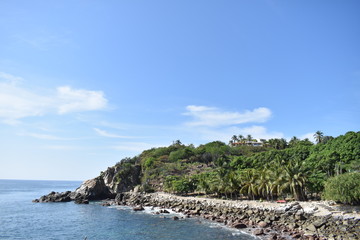 Bosque con rocas se encuentra con el mar