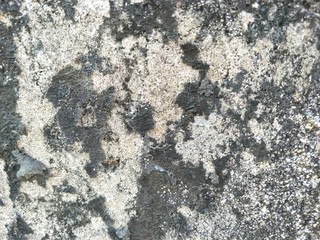 Old concrete vintage texture, grey concrete wall  for background