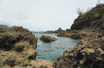Obraz premium Whale Bay, Beautiful Beach Near Whangarei New Zealand