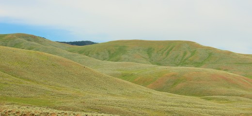 landscape with green field and blue sky