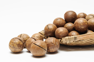 dried Macadamia nuts on white background