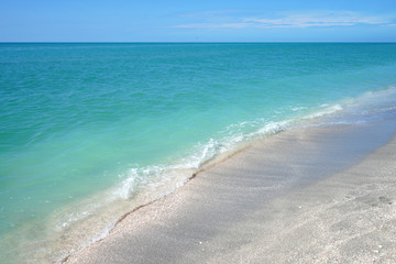 Shells on the beach by the sea in Sanibel Island, Florida