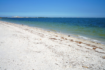 Shells on the beach by the sea in Sanibel Island, Florida