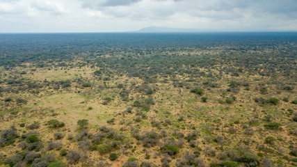 Fototapeta premium view of a landscape in Africa.