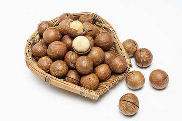 dried Macadamia nuts on white background
