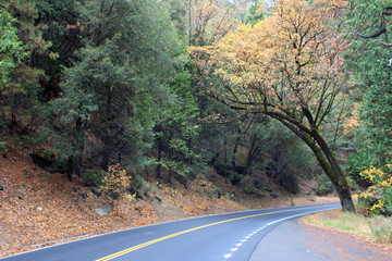 Autumn Road in Yosemite (CA 6218)