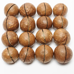 dried Macadamia nuts on white background