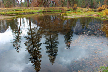 Fototapeta na wymiar Autumn Reflection in Yosemite (CA 06265)