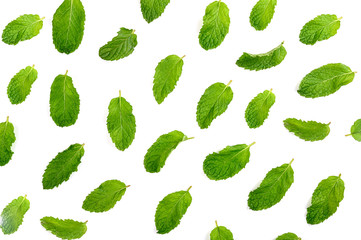 Papermint leaves pattern isolated on white background. background