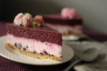 Pieces of delicious cheesecake with blueberry on white plate. Dark background.