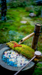 Japanese Hand watershed